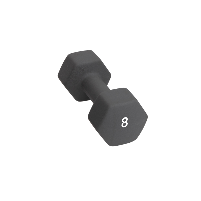 Abilica Abilica Dumbbell 8 Kg 374282 Corner Sport 1