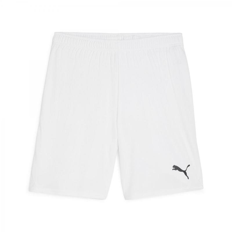 Puma Puma Teamgoal Shorts 705752 Corner Sport 1