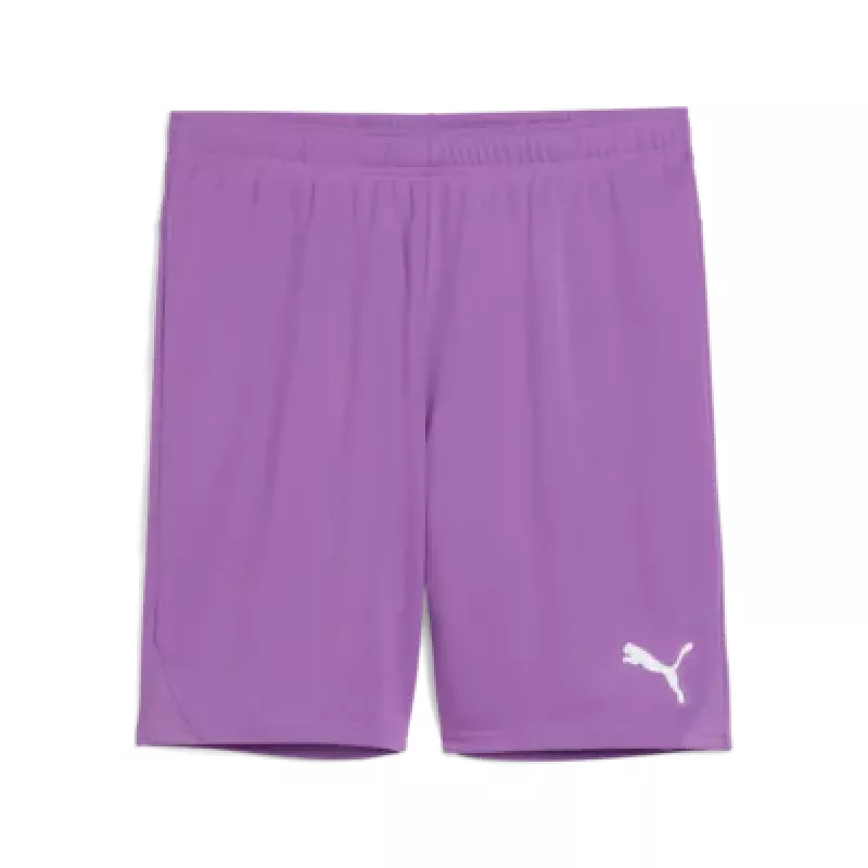 Puma Teamgoal spillershorts lilla